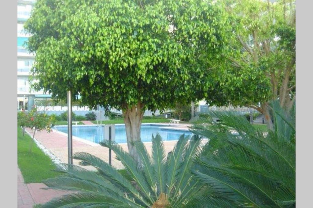 Apartamento Athenea Gandía Εξωτερικό φωτογραφία